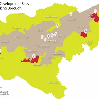 Picture of Woking Borough Council