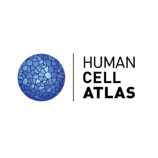 Picture of Human Cell Atlas