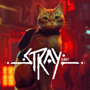 Picture of Stray