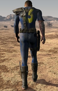 Picture of Vault Dweller