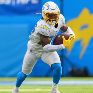 Picture of Asante Samuel, Jr.