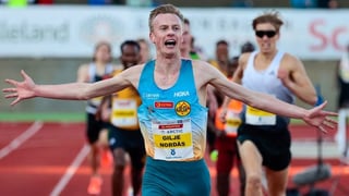 Picture of Narve Gilje Nordås