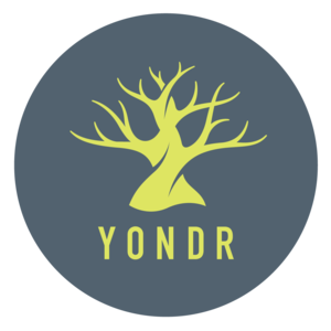 Picture of Yondr