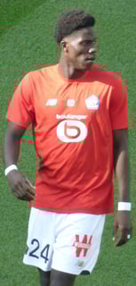 Picture of Amadou Onana