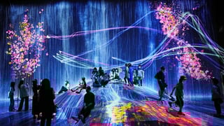 Picture of teamLab Borderless