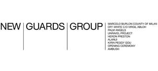 Picture of New Guards Group