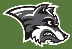 Picture of IKM-Manning Community School District