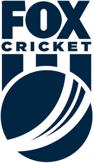 Picture of Fox Cricket