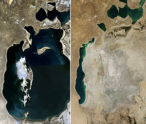 Picture of Ecosystem collapse