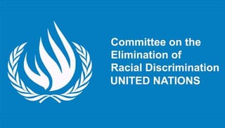 Picture of Committee on the Elimination of Racial Discrimination