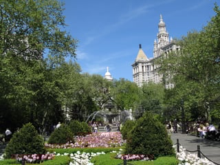 Picture of City Hall Park