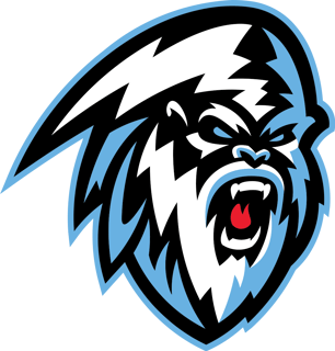 Picture of Winnipeg Ice
