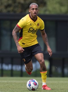 Picture of João Pedro