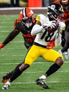 Picture of Diontae Johnson