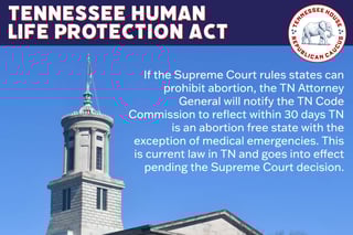 Picture of Human Life Protection Act