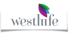 Picture of Westlife Foodworld