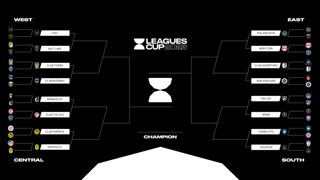 Picture of Leagues Cup