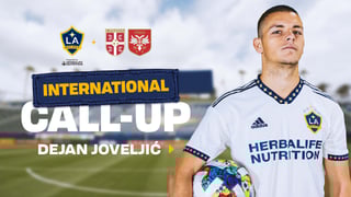Picture of Dejan Joveljić