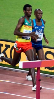 Picture of Lamecha Girma