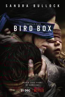 Picture of Bird Box