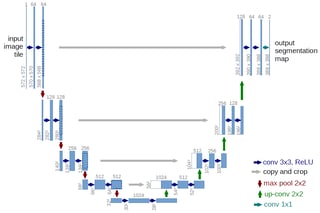 Picture of U-Net