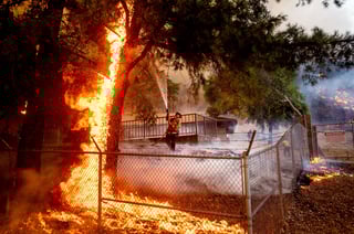Picture of Glass Fire