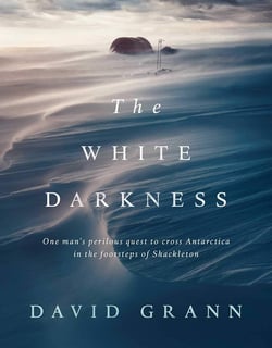 Picture of The White Darkness