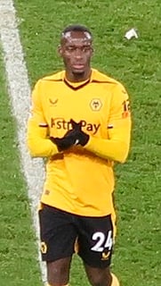 Picture of Toti Gomes