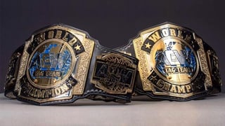 Picture of AEW World Tag Team Championship