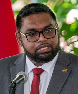 Picture of Irfaan Ali