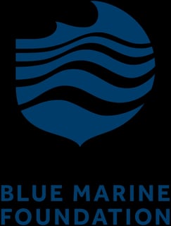 Picture of Blue Marine Foundation