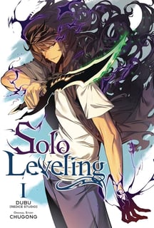 Picture of Solo Leveling