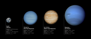 Picture of Sub-Neptune