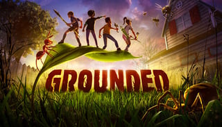 Picture of Grounded