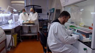 Picture of Australian Sports Brain Bank