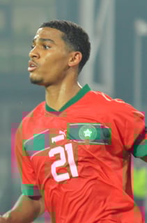 Picture of Amine Adli
