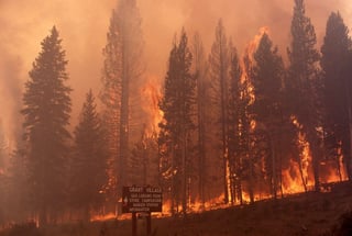 Picture of Megafire
