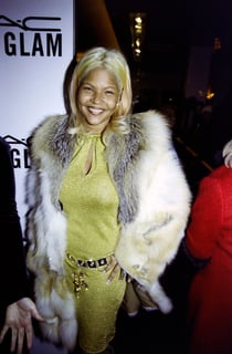 Picture of Misa Hylton