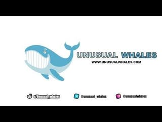 Picture of Unusual Whales Inc.