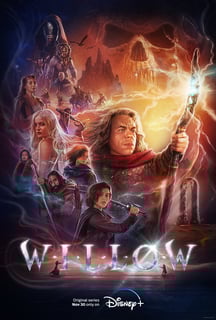 Picture of Willow