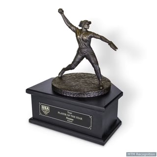 Picture of USA Softball Collegiate Player of the Year