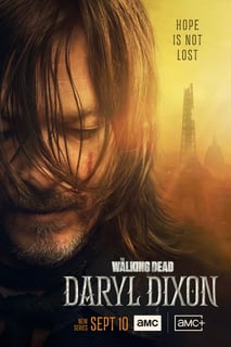 Picture of The Walking Dead: Daryl Dixon