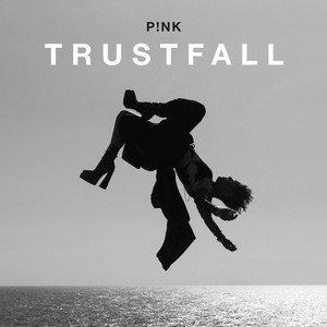 Picture of Trustfall