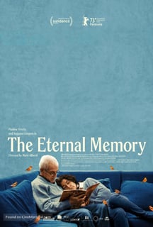 Picture of The Eternal Memory
