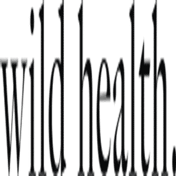 Picture of WildHealth, Inc.