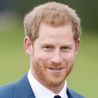 Picture of Prince Henry
