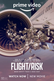Picture of Flight Risk