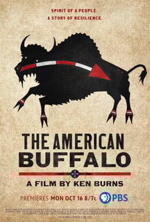 Picture of The American Buffalo