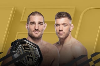 Picture of UFC 297