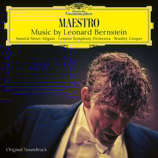 Picture of Maestro